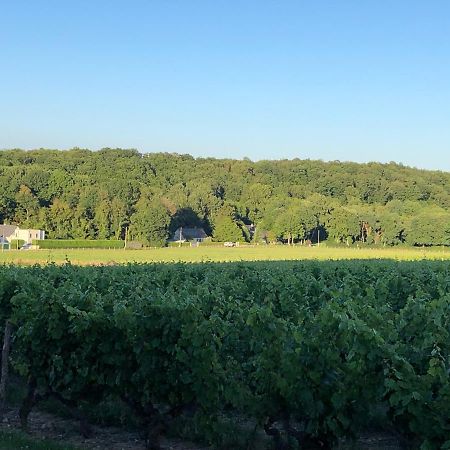 Gite De La Fontaine Bondree Vernou-sur-Brenne エクステリア 写真