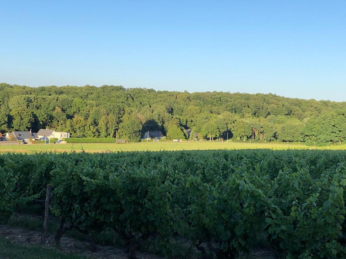 Gite De La Fontaine Bondree Vernou-sur-Brenne エクステリア 写真